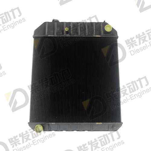 Radiator 20412362